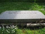 image of grave number 443602